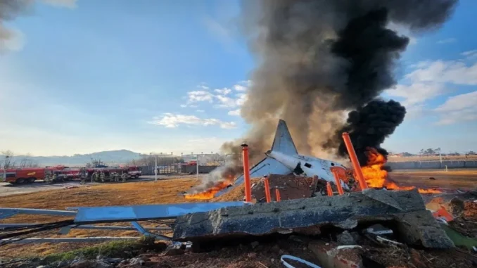 Boeing 737-800 Belly-Lands at Muan Airport, 124 Fatalities Reported