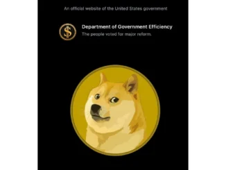 Musk's DOGE Initiative Drives 14% Increase in Dogecoin Price