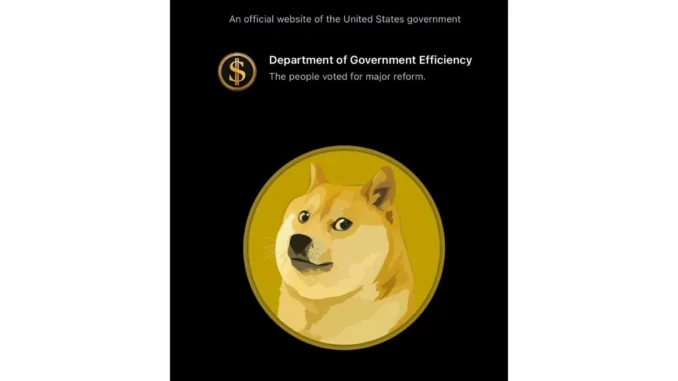 Musk's DOGE Initiative Drives 14% Increase in Dogecoin Price