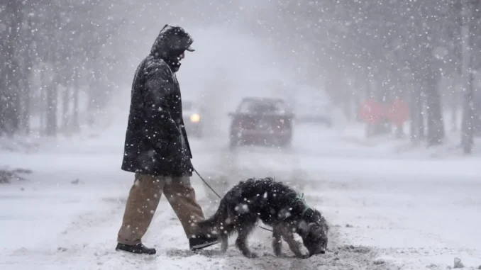 Travel Disruptions and Power Outages: Winter Storm's Impac