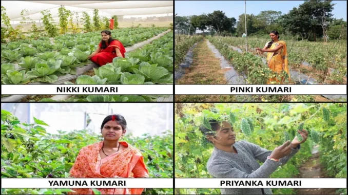 Breaking Barriers: Four Women Farmers Achieve Millionaire Status