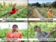 Breaking Barriers: Four Women Farmers Achieve Millionaire Status