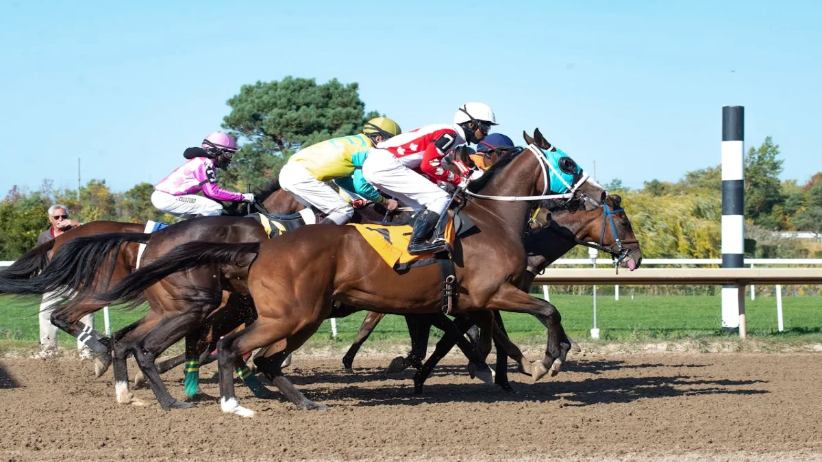 Senator Keenan Unveils Plan to Restrict Sports Betting in Massachusetts