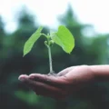 Sustainable Aviation Fuel Poised to Transform India’s Flight Path to Net Zero