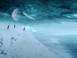 Dandelion Seeds in Space: "Planètes" Redefines Sci-Fi Animation