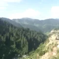 Terrorist Killed in Udhampur Forest Gunfight, Search Ongoing