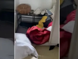 Azharuddin’s Farmhouse Burgled After 132 Days of Silence