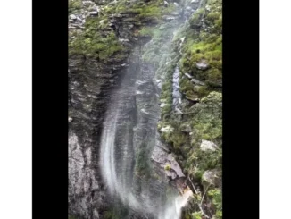 Blend lists into paragraphs: Instead of standalone bullets, weave them into flowing sentences. ✨ Instead of: Reduces travel time Boosts tourism ✨ Try: “The train not only reduces travel time across rugged terrains but also revitalizes tourism and local economies.” Vary sentence length and structure: A mix of short punchy lines and longer descriptive ones mimics human rhythm. Add personal or emotional nuance: Phrases like “viewers were left stunned” or “locals call it a miracle” help inject soul. Avoid excessive transitions: Use fewer “additionallys” and “meanwhiles” when you already have natural flow. Limit subheadings: Stick to 2–3 if the article’s under 500–600 words. It keeps the layout breezy.