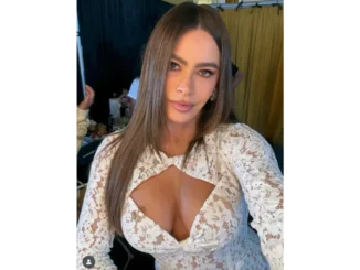 Sofia Vergara’s Plunging Dress