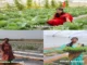 3 Women Farmers Who Prove Knowledge and Innovation Can Change Rural India”