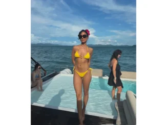 Hardik Pandya and Mahieka Sharma dating rumors