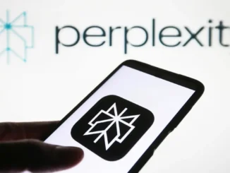 Perplexity