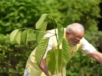 Prime Minister Narendra Modi today planted a Kadamb sapling at his residence, 7 Lok Kalyan Marg