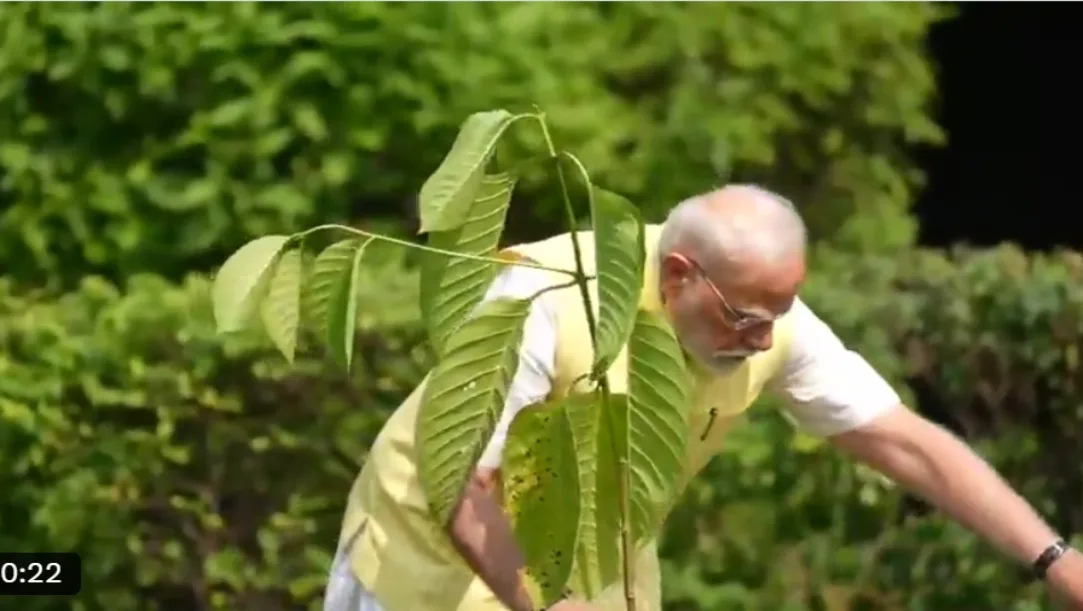 Prime Minister Narendra Modi today planted a Kadamb sapling at his residence, 7 Lok Kalyan Marg