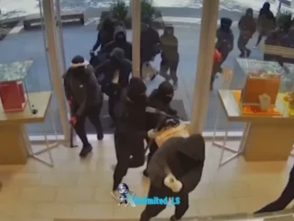 $1 Million Jewelry Heist in San Ramon: