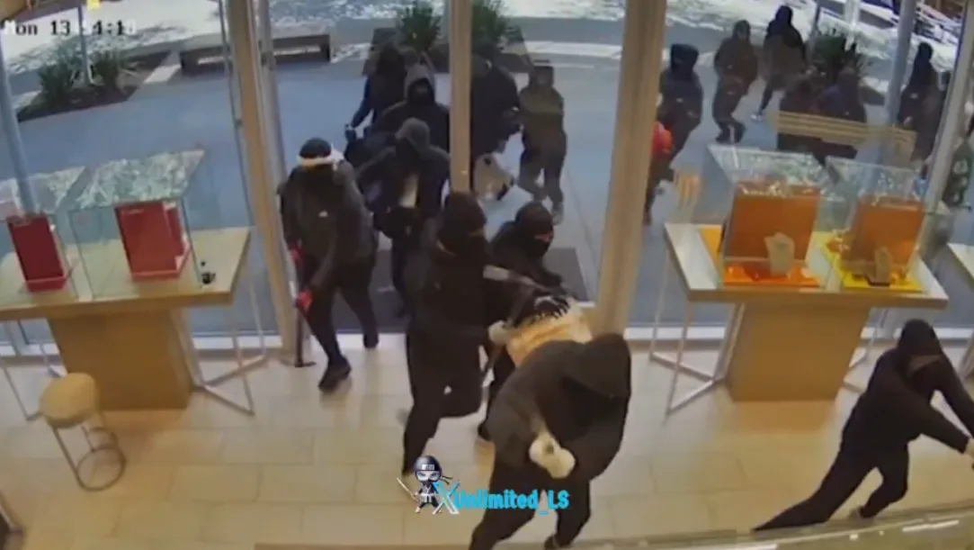 $1 Million Jewelry Heist in San Ramon: