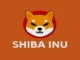 Shiba Inu Team Hints at Asia Expansion