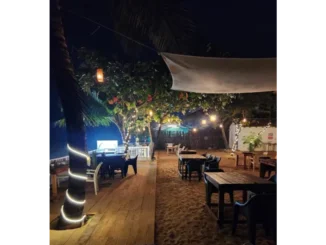 The Coco leaf is where coastal comfort meets laid-back charm