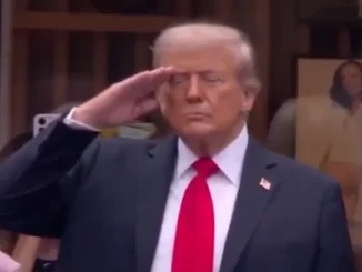 trump us flag controversy