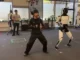 Elon Musk’s Robot Just Did Kung Fu
