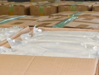 45 Tons of Rice Seized in Osaka Customs Fraud Case