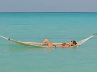 Remove term Amyra Dastur bikini Amyra Dastur bikin