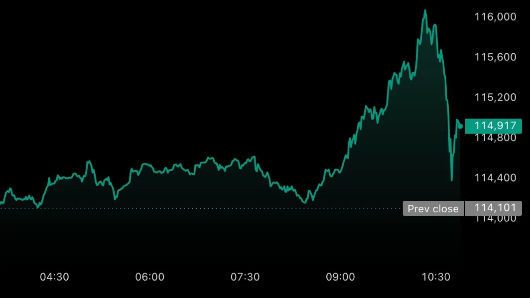 Bitcoin price chart showing spike to $116K and drop to $114K