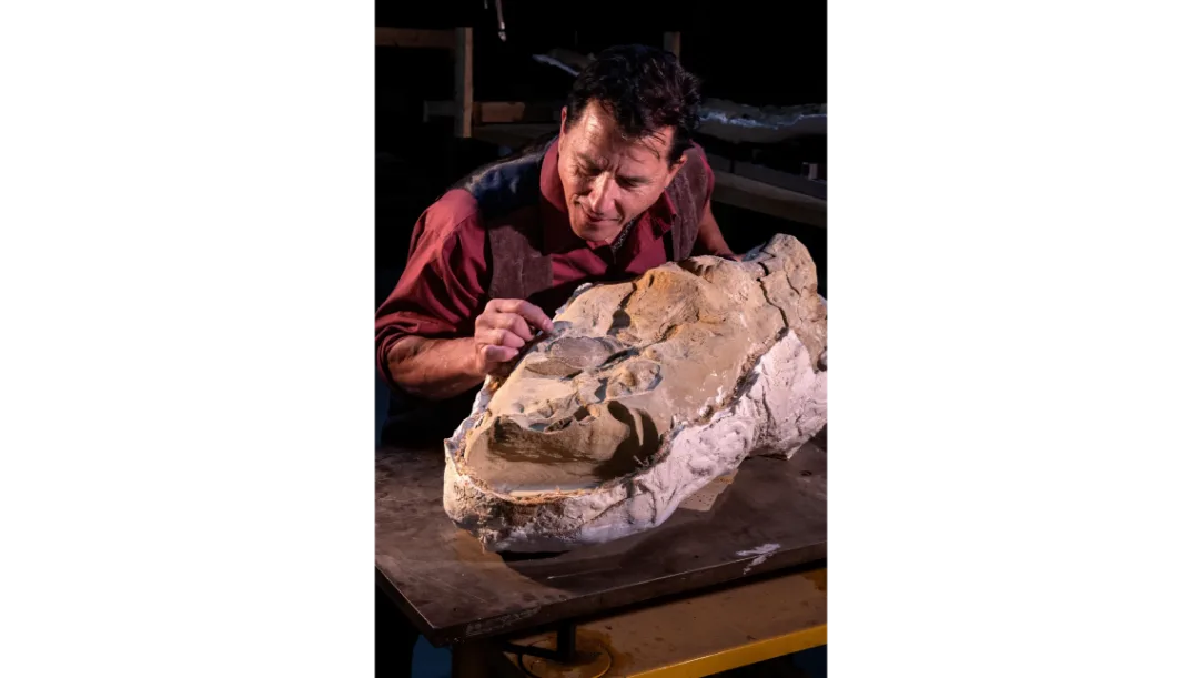 Fossilized dinosaur mummy with preserved clay mask in Wyoming