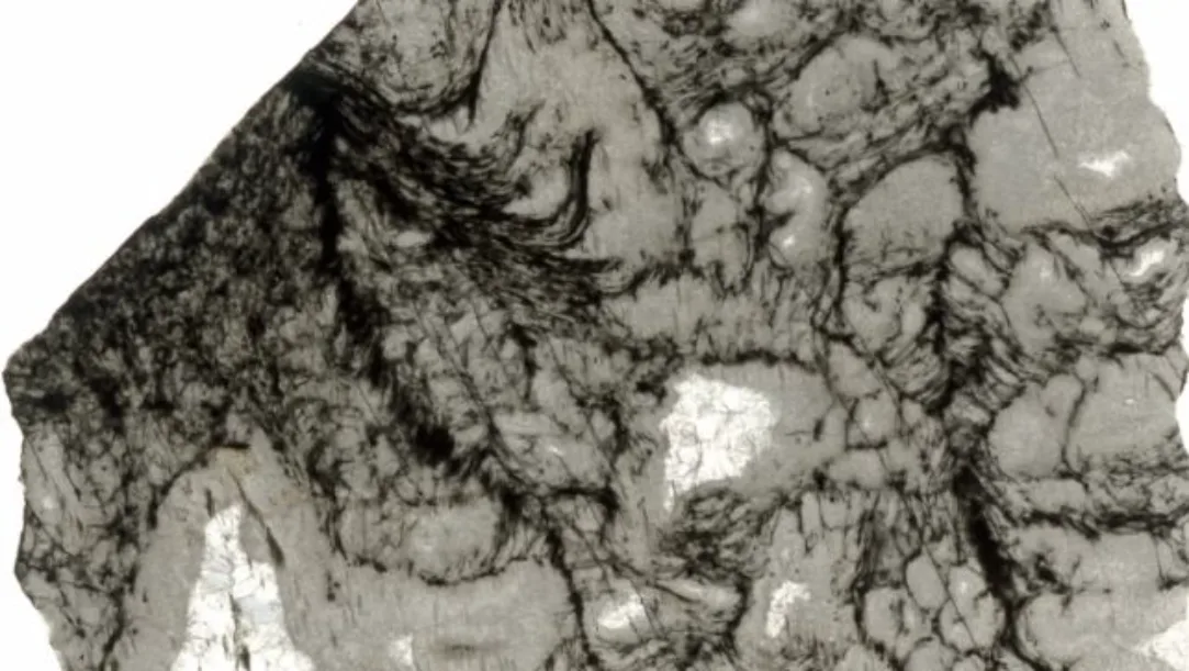 Close-up of 3.3-billion-year-old rock showing chemical traces of ancient life