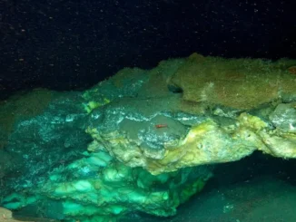 Arctic methane reefs, deep sea biodiversity, Knipovich Ridge discovery, methane hydrate life, Arctic ocean exploration