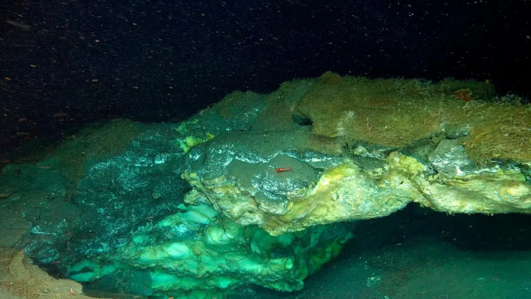 Arctic methane reefs, deep sea biodiversity, Knipovich Ridge discovery, methane hydrate life, Arctic ocean exploration