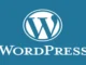 WordPress 6.9 Update Brings Collaboration and Performance Boosts