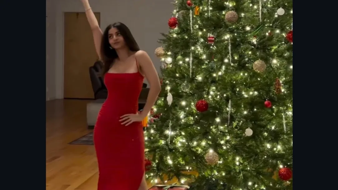 Vedhika Christmas bikini reel