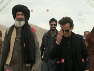 Dhurandar movie cast celebrating box office success