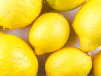Glass of lemon water with fresh lemon slices