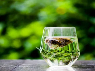 Daily Green Tea Benefits: 10 Ways It Improves Your Health