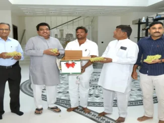 Bashir Mulla Cultivates 4 Acres of Grapes, Eyes ₹40–45 Lakh Income