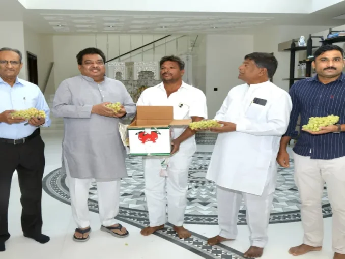 Bashir Mulla Cultivates 4 Acres of Grapes, Eyes ₹40–45 Lakh Income