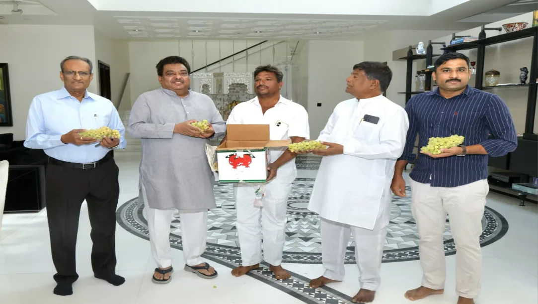 Bashir Mulla Cultivates 4 Acres of Grapes, Eyes ₹40–45 Lakh Income