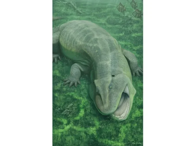 275-Million-Year-Old Fossil With Sideways Teeth Unearthed in Brazil