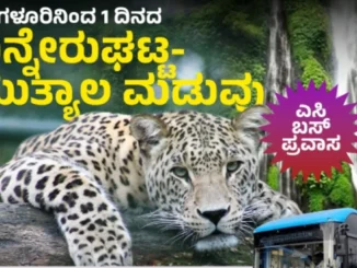 Bannerghatta National Park and Muthyala Maduvu