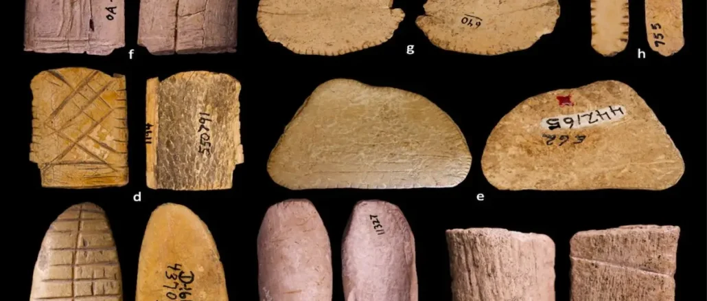 12,000‑year‑old bone dice discovered in North America, world’s first casino