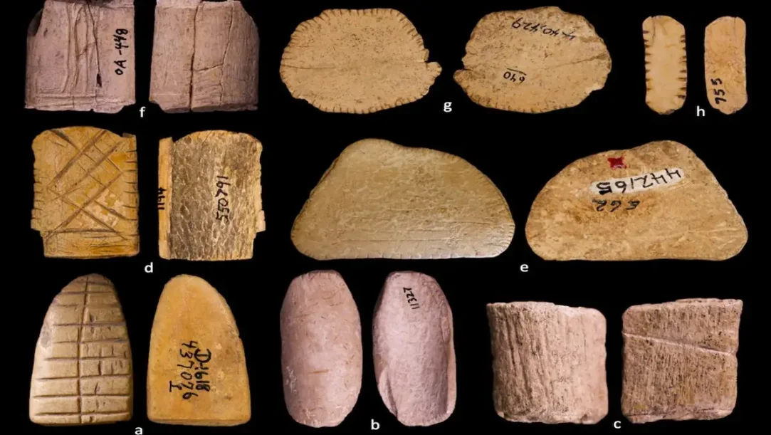 12,000‑year‑old bone dice discovered in North America, world’s first casino