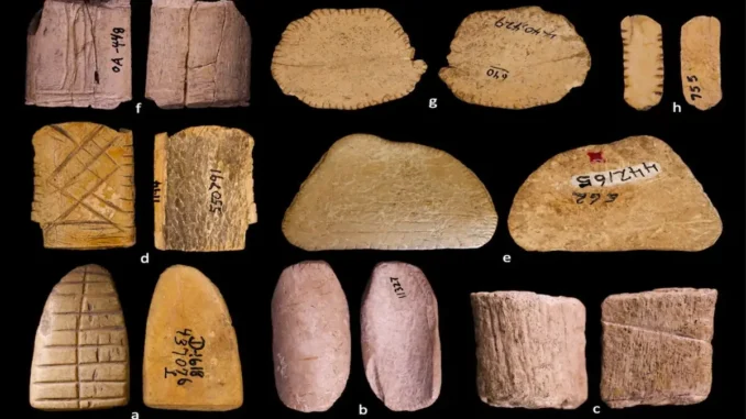 12,000‑year‑old bone dice discovered in North America, world’s first casino
