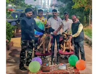 Hubballi Airport Security Dogs Birthday: Guru and Maya Turn 5