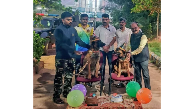 Hubballi Airport Security Dogs Birthday: Guru and Maya Turn 5