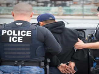 ICE agents checking passenger ID during airport security screening amid rising ICE airport arrests
