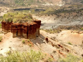 Olduvai Gorge Discovery: 1.8 Million-Year-Old