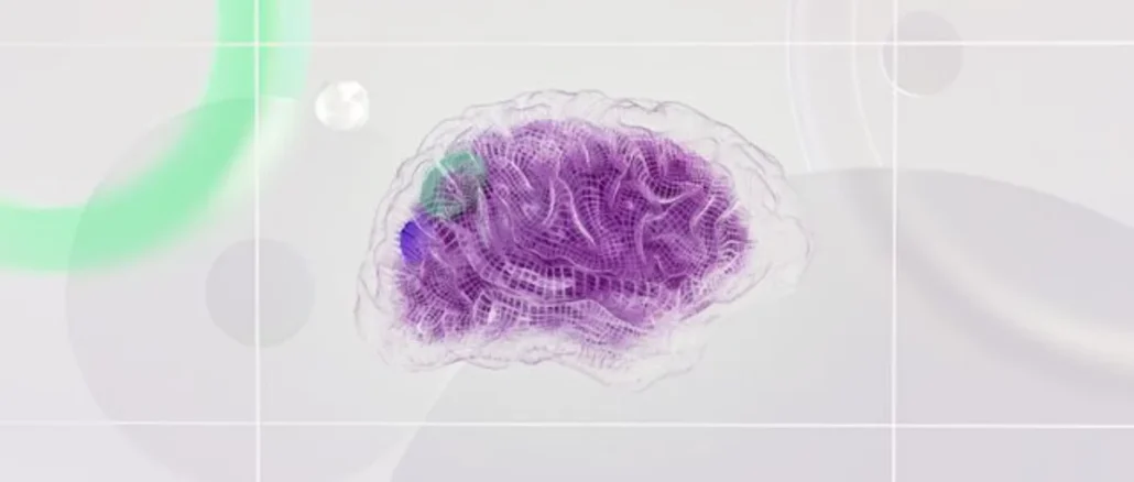 Solve Mystery of Brain Switch