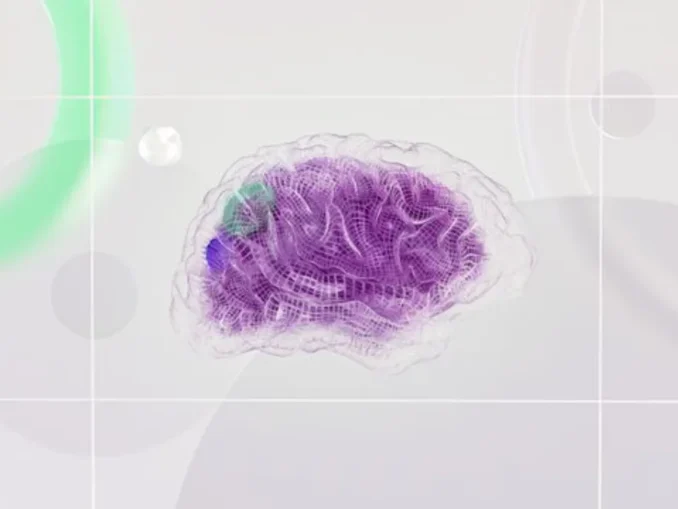 Solve Mystery of Brain Switch